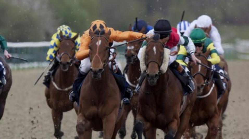 There is all-weather racing at Kempton on Wednesday evening